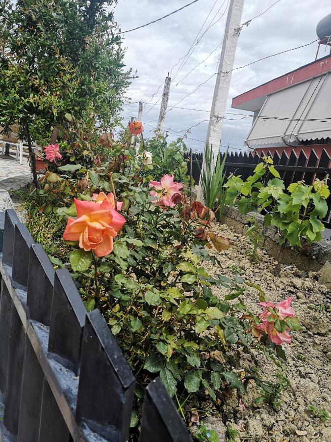 Private House Durres别墅 客房 照片
