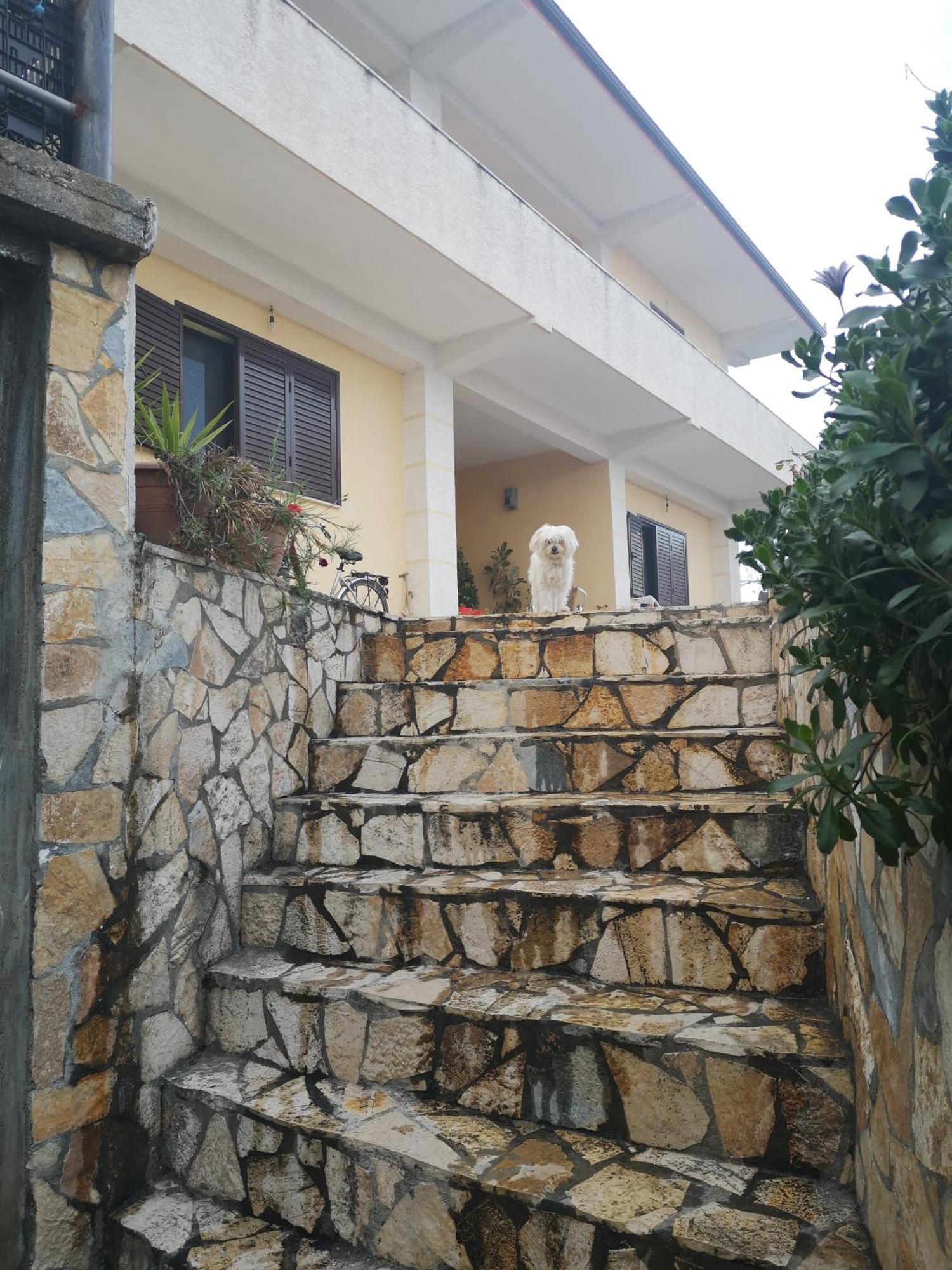 Private House Durres别墅 客房 照片